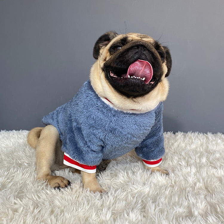 Warm Cozy Pet Sweater For Comfortable Everyday Winter Wear