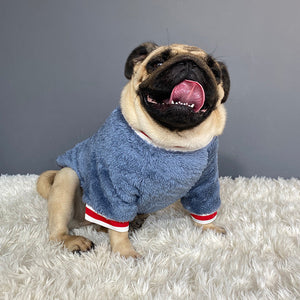 Warm Cozy Pet Sweater For Comfortable Everyday Winter Wear