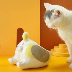 Elevated Ceramic Pet Feeding Bowl With Raised Stand