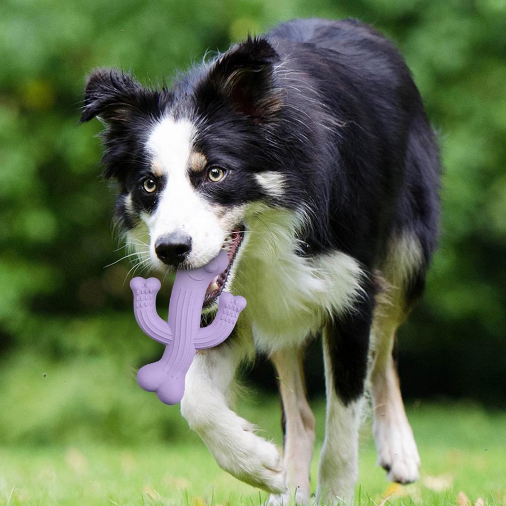 Why Your Pup Needs the Ultra Durable Cactus Pet Chew Toy