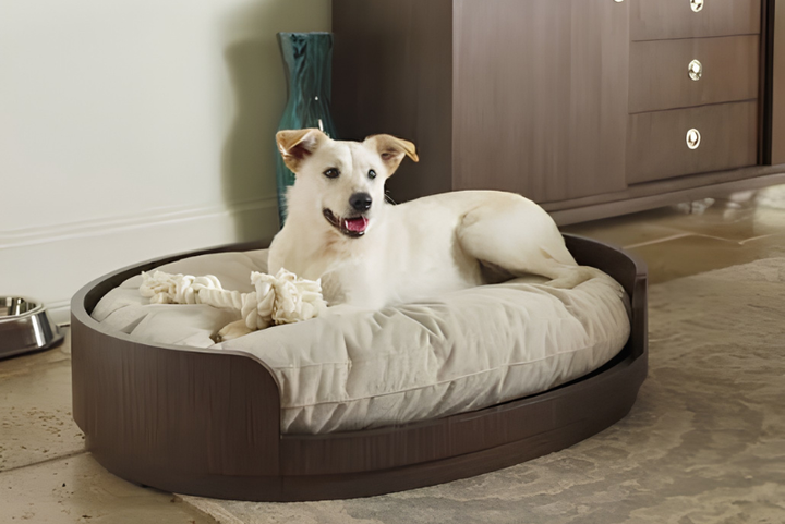 Choosing The Perfect Pet Bed