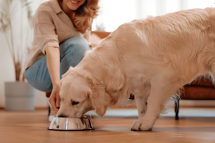 Better Nutrition Starts Daily
