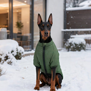 Two-Leg Cotton Pet Jacket For Comfortable Everyday Wear